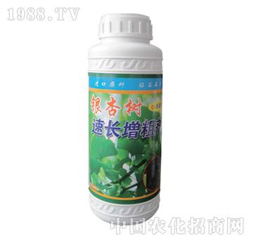 ��ɽ����-�y�Ә����L(zh��ng)��