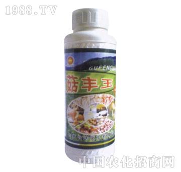 ��ɽ����-���S��500