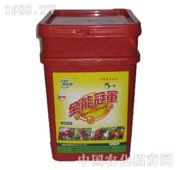 ��ʩ��-ȫ�ܹ�܊