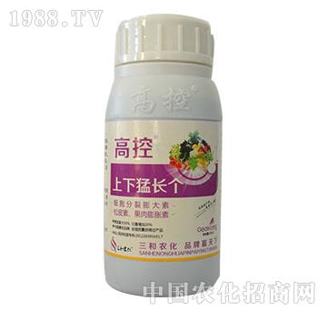 �߿�-�������L��-�����r��