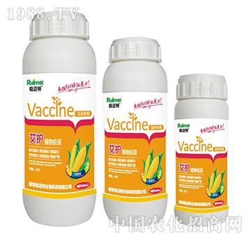 ���o(h��)ֲ���������׌���-�J�~��