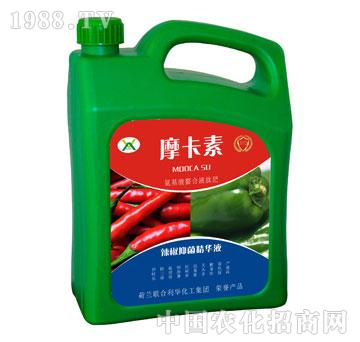 �����־����AҺ-Ħ����