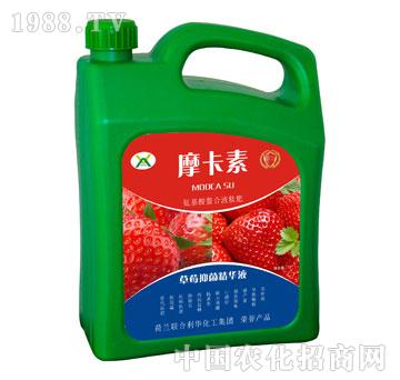 ��ݮ�־����AҺ-Ħ����