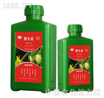 ������������������Һ��