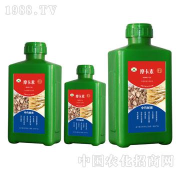 ��ˎ�Č��ð���������Һ