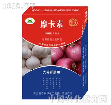 �������[���ð���������