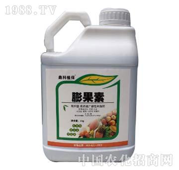 �����-�ο�ֲ��