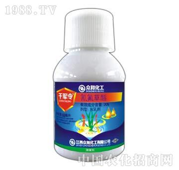 20%�������-ǧ܊��