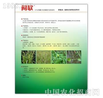 60%���������׻�¡-