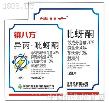 50%��������ͪ-�(zh��n)��