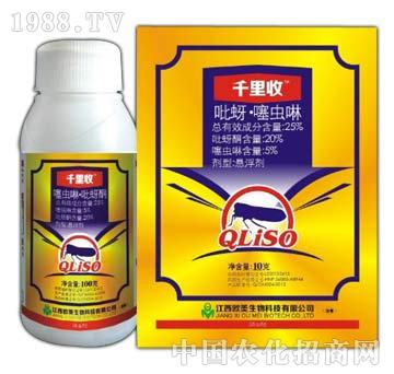 25%�������x��-ǧ��