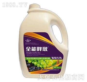 ȫ���ֶ�-���ь�(zhu��n)��-��