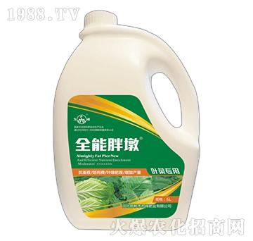 ȫ���ֶ�-�~�ˌ�(zhu��n)��-��