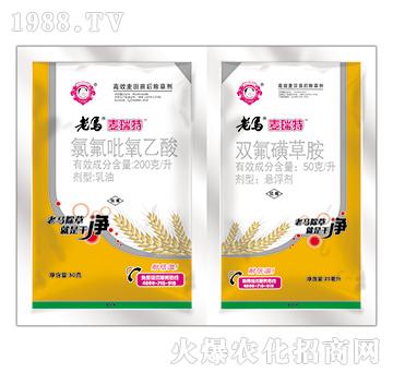 ���R�������p�B��-�ȷ�