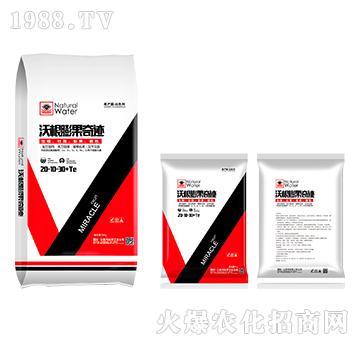 �ָ�������E20-10