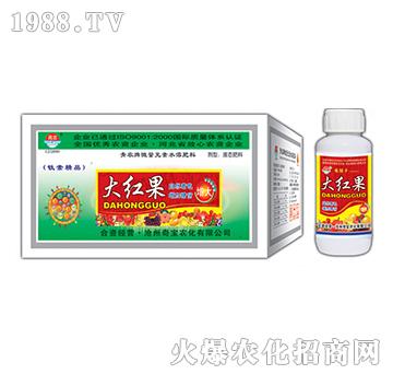 200g大紅果-奇寶農(nóng)化