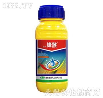 �G���hɷ-�G��