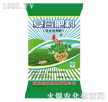 ������(zhu��n)�Ï�(f��)�Ϸ���20-10-10-ïʢ