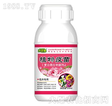 ֲ�����磨���܌����ͣ�-���S¡-��(qi��ng)