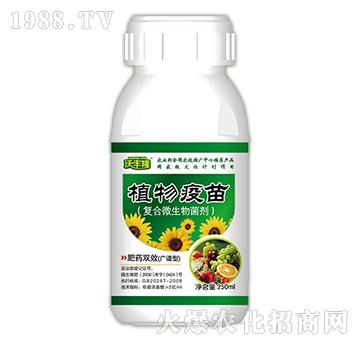 ֲ�����磨�V�V�ͣ�-���S¡-��