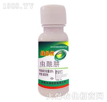 20%�x����-��(zh��n)���z-�읙����
