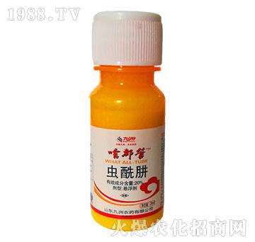 20%�x(ch��ng)���Ҹ���-ɶ����-�읙(r��n)����