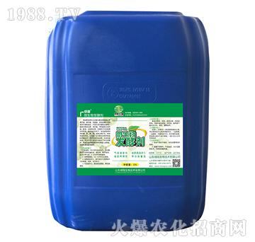 ΢����l(f��)�̈́�-�G�]����