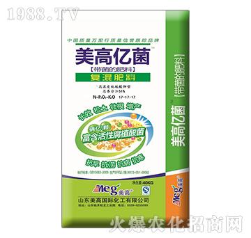 ���߃|���ͻ����17-