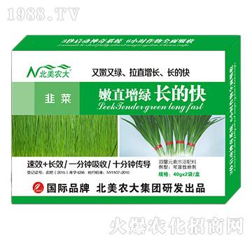 韭菜嫩直增綠長的快-北美農(nóng)大