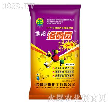 �ذ���ø��-�ذ�Ȫ