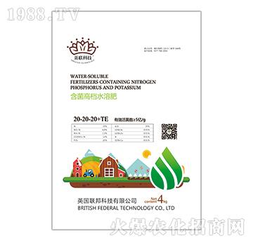 �����ߙnˮ�ܷ�20-20-20+TE-Ӣ(li��n)�Ƽ�-�ذ�Ȫ