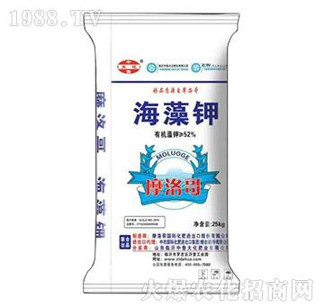 �����-����Դ