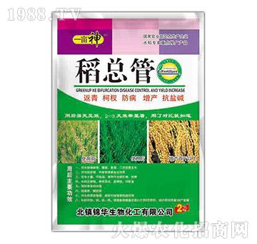 ������-һ����