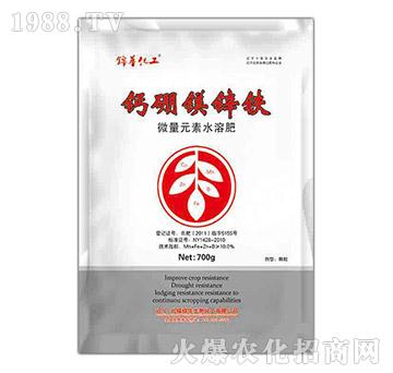 �}���V�\�F-һ����