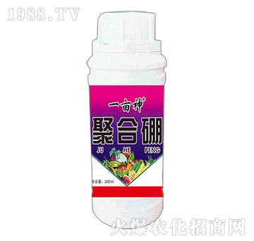 �ۺ���-һ����