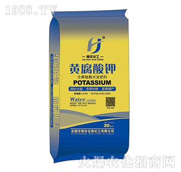 �S�����-һ����