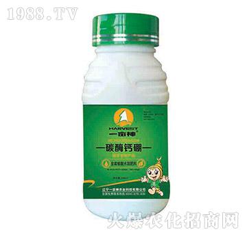 ̼ø�}��-һ����