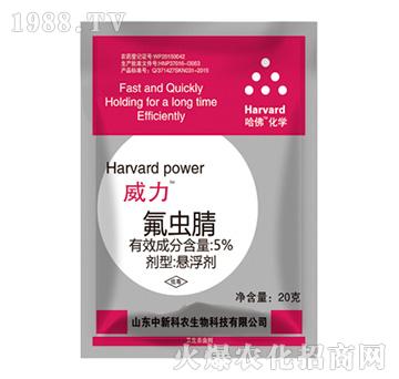 5%���x��-����-����