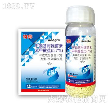 5.7%�װ������S����