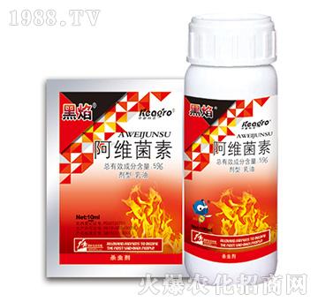 5%���S����-����-��