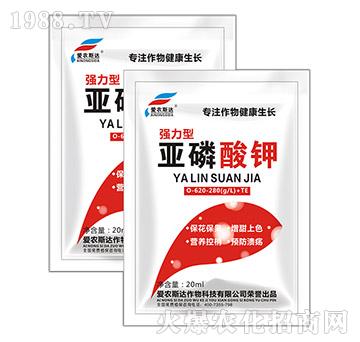 ������⛣�����-��(��i)�r(n��ng)˹�_(d��)