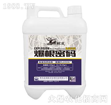 �~(y��)�����ͱ����ܴa-�L�`