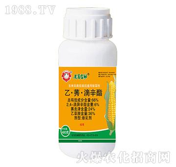 66%�ҡ�ݬ��������-