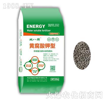 �S������ͣ����ٌ��ã�-��Խ����