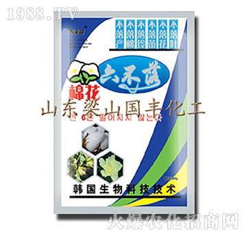 棉花六不落-梁山國豐