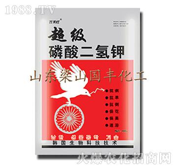 超級(jí)磷酸二氫鉀-梁山國(guó)豐