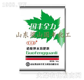 硝酸鉀水溶肥-國豐全力-梁山國豐