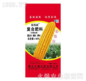 ��(f��)�Ϸ���28-6-6-���׻���