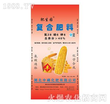 �ͺϷ���28-6-6-�����@-���׻���