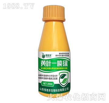 黃葉一噴綠-悅地豐